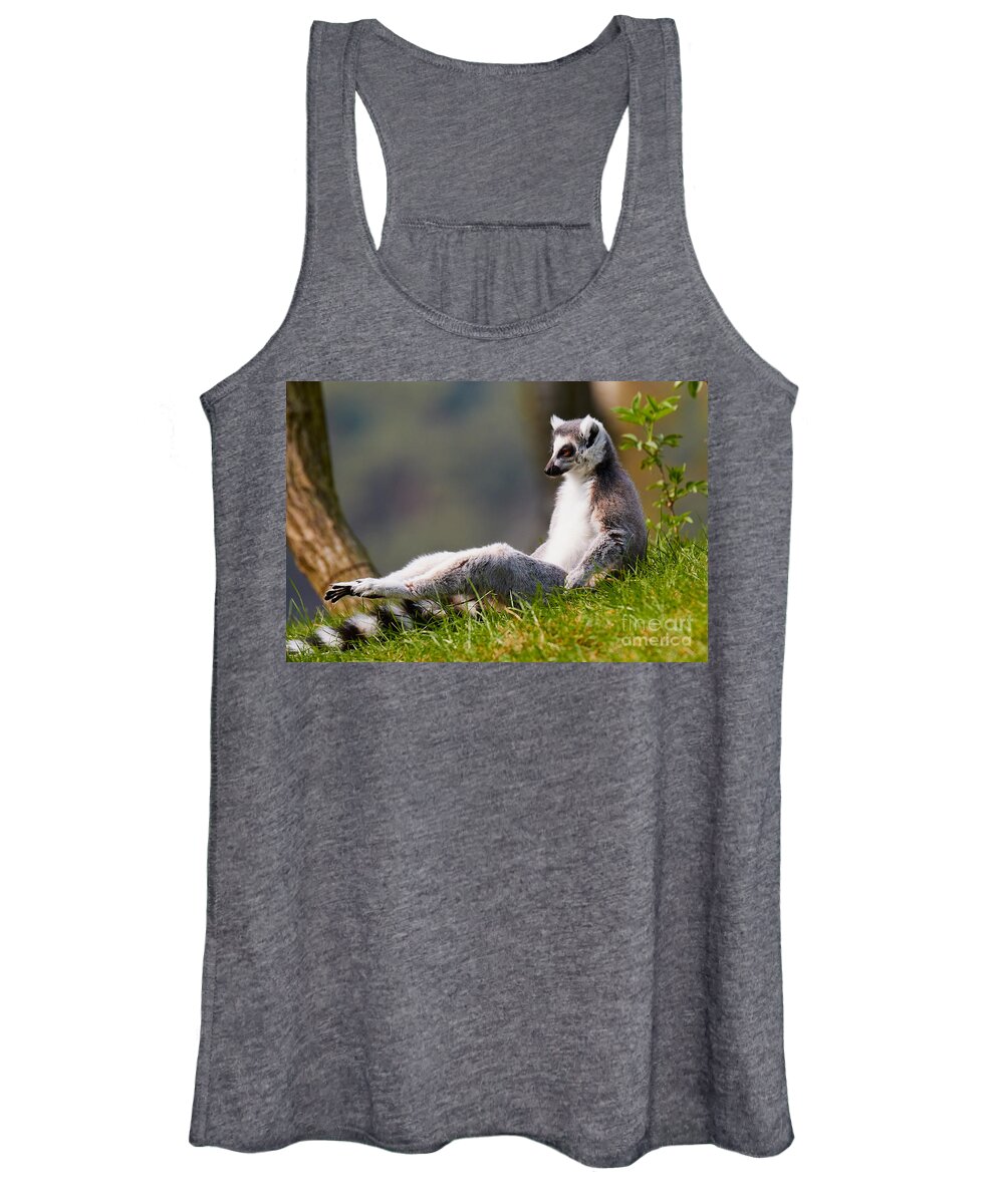 Animal Women's Tank Top featuring the photograph Sun bathing Ring-tailed lemur by Nick Biemans