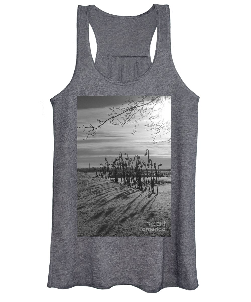 Sunflower Women's Tank Top featuring the photograph Sunflowers in the Winter Sun by Mary Mikawoz