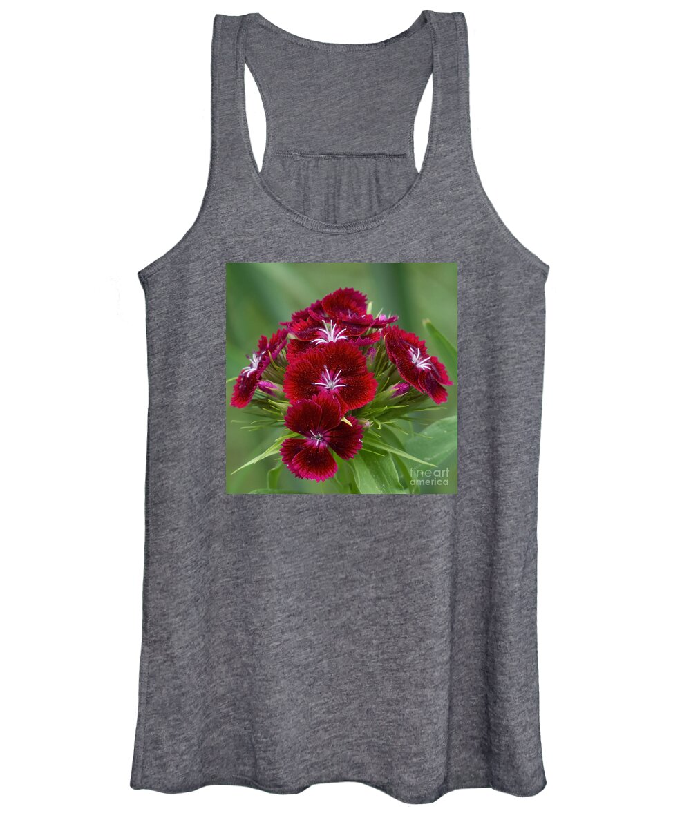 Flowers Women's Tank Top featuring the photograph Sweet Blooms by Lili Feinstein