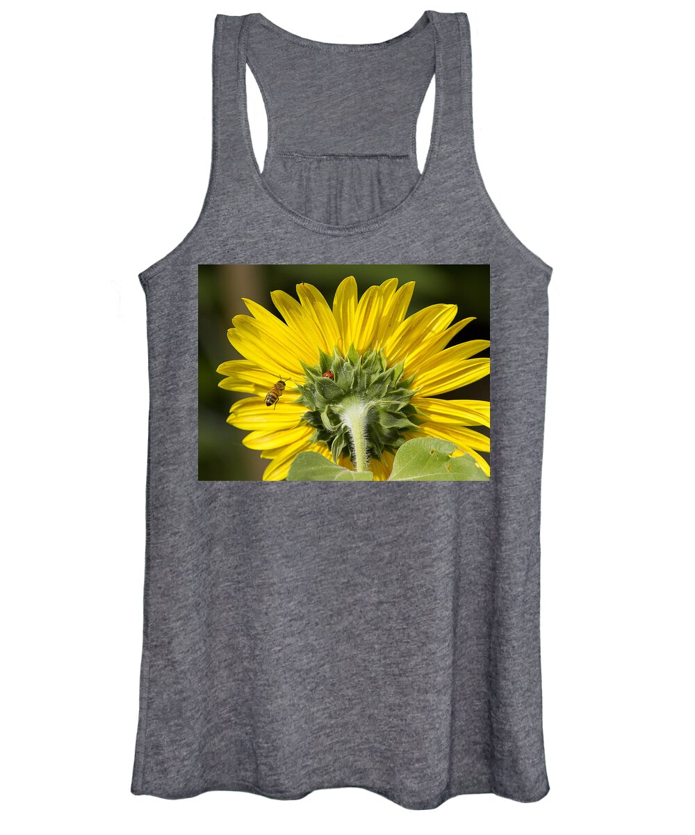 Ladybugs Women's Tank Top featuring the photograph The Bee Lady Bug and Sunflower by James BO Insogna