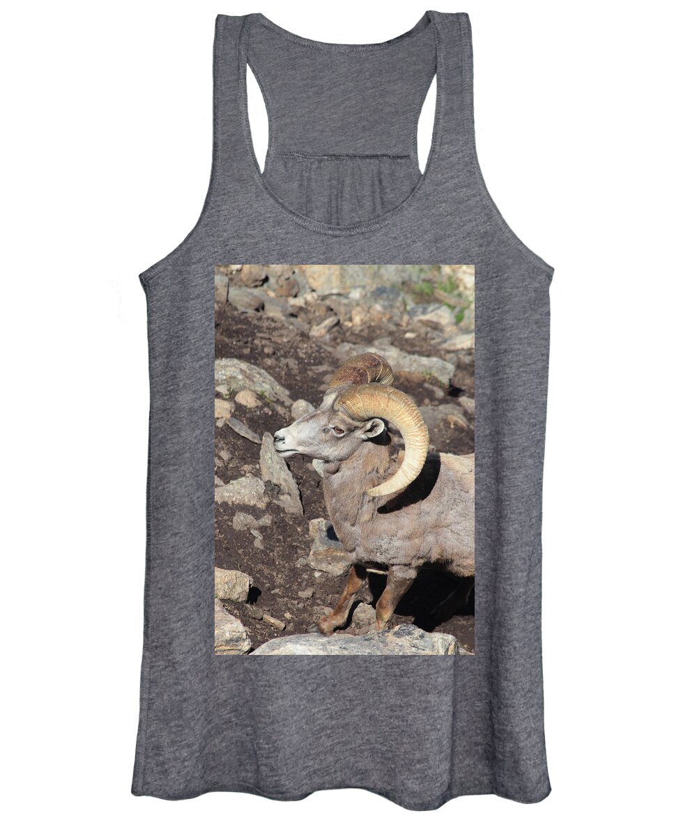 Ram Women's Tank Top featuring the photograph The Climb by Shane Bechler