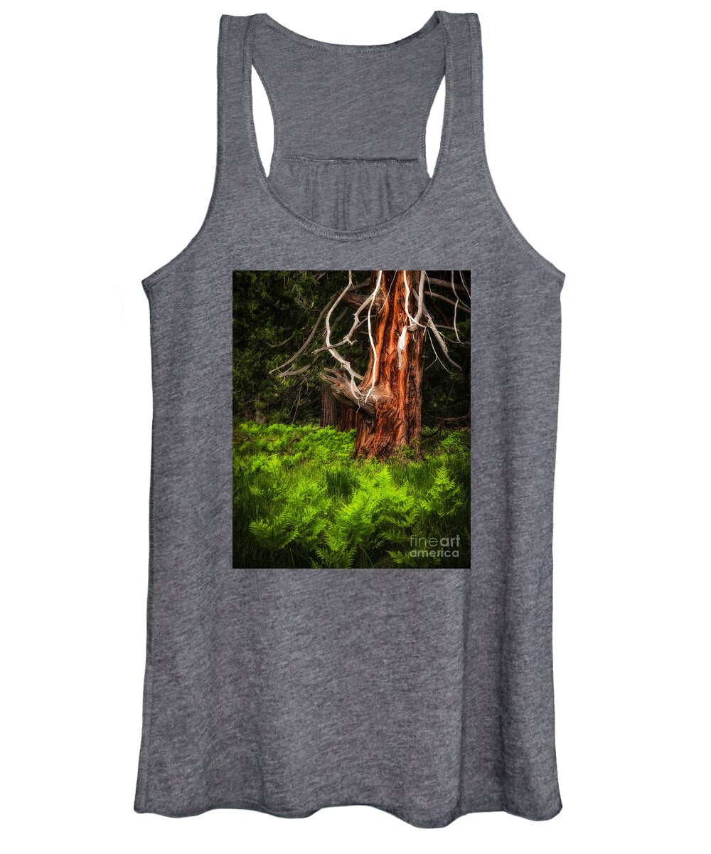 Yosemite Women's Tank Top featuring the photograph The Old Tree by Anthony Michael Bonafede