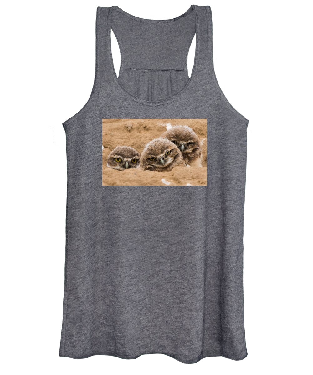 Burrowing Owl Women's Tank Top featuring the photograph The Three Amigos by Mindy Musick King