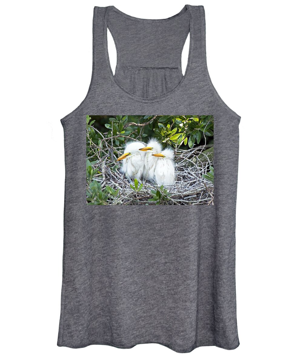 Egret Women's Tank Top featuring the photograph The Three Stooges by Kenneth Albin