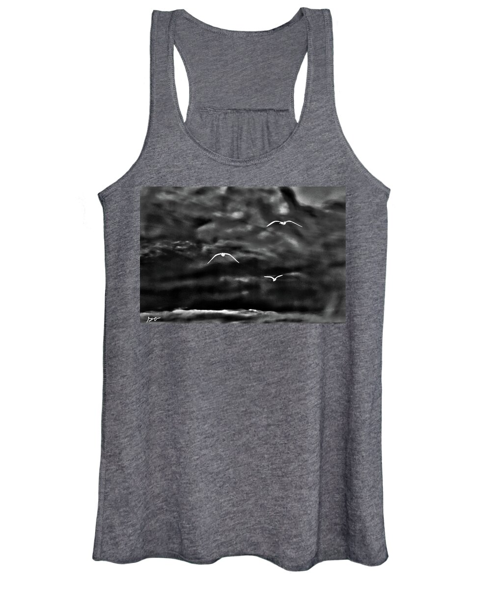 Seagulls Women's Tank Top featuring the photograph Three Seagulls by Gina O'Brien