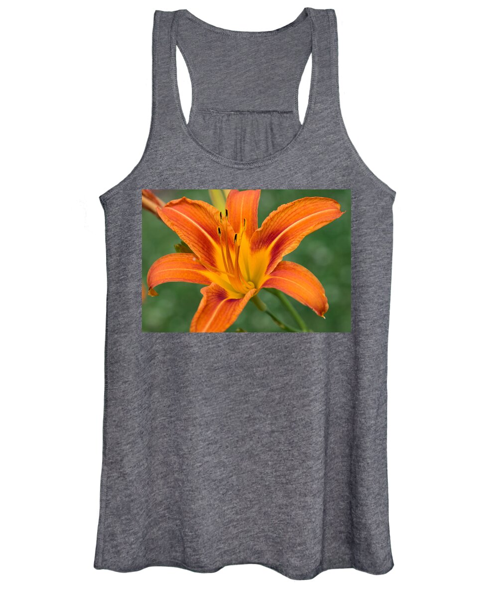 Daylily Women's Tank Top featuring the photograph Daylily by Holden The Moment