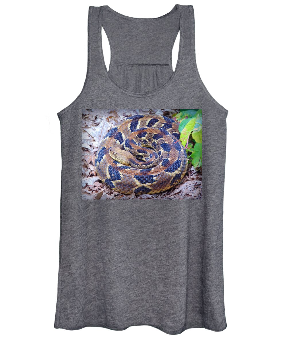 Snake Women's Tank Top featuring the photograph Timber Rattler by Richie Parks