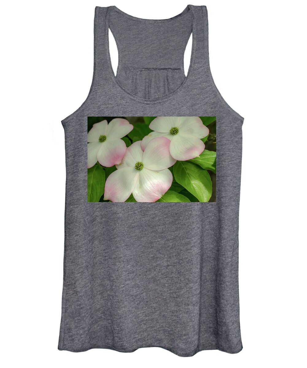Dogwood Women's Tank Top featuring the photograph Touch of Pink2 by Doug Scrima