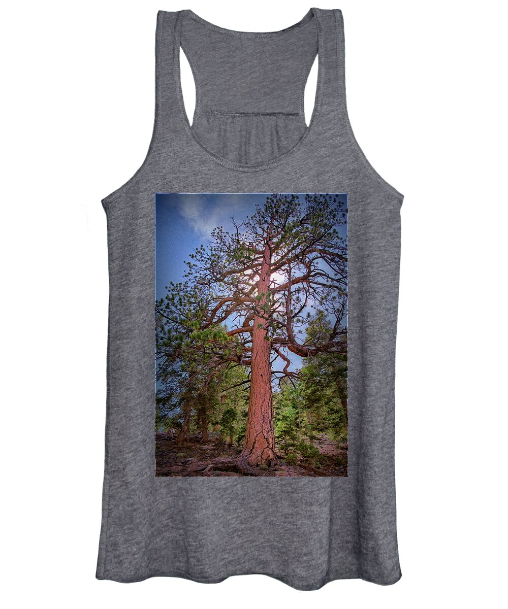 Tree Women's Tank Top featuring the photograph Tree Cali by Paul Vitko