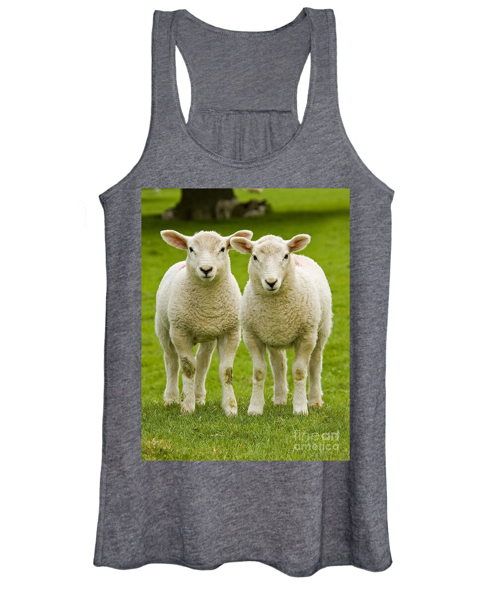 Agriculture Women's Tank Top featuring the photograph Twin Lambs by Meirion Matthias