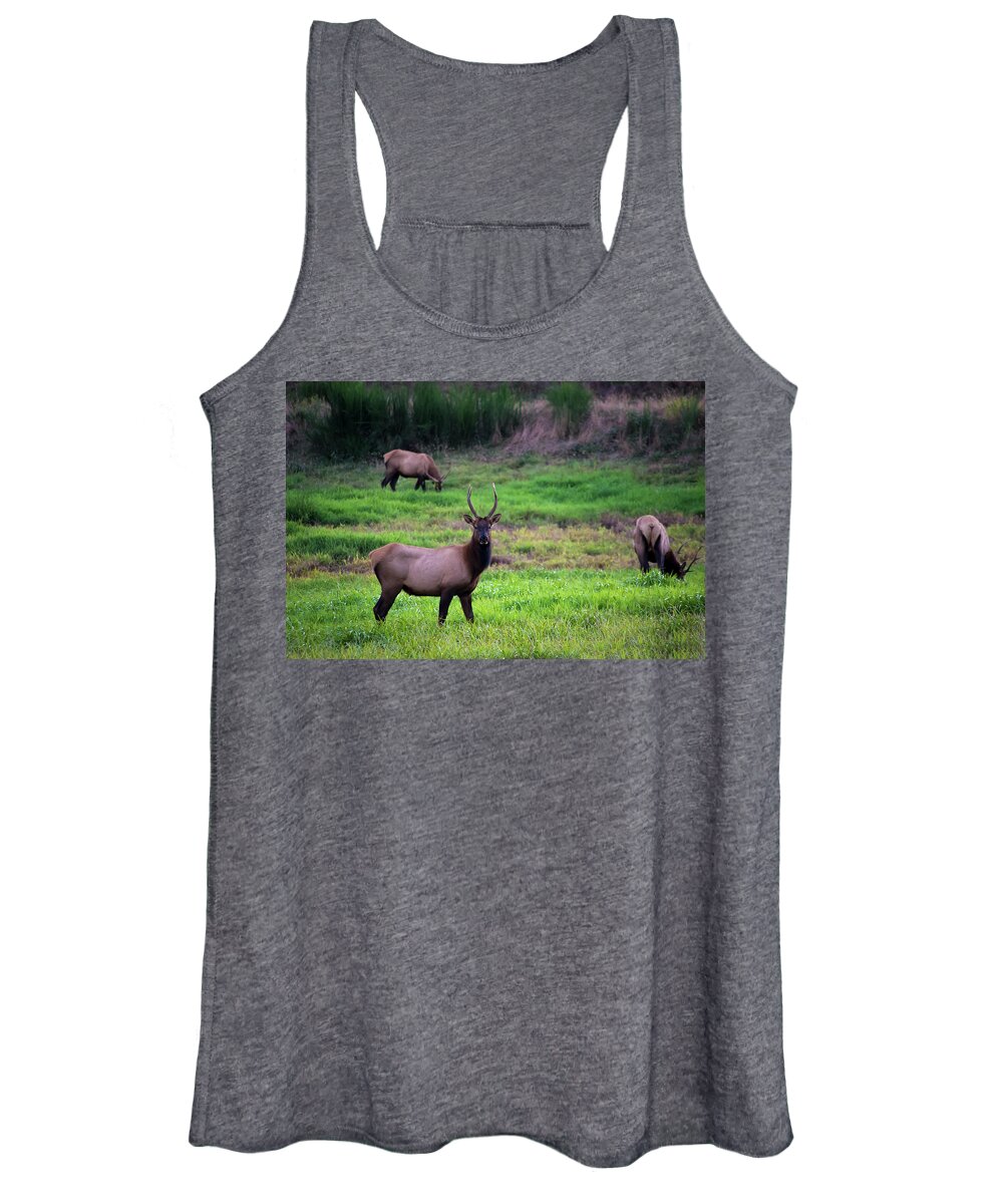 Photography Women's Tank Top featuring the photograph Vigilant by Steven Clark