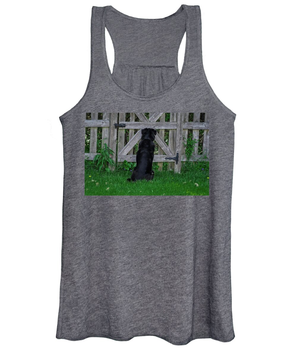 Animals Women's Tank Top featuring the photograph Waiting At The Gate by Jim Shackett