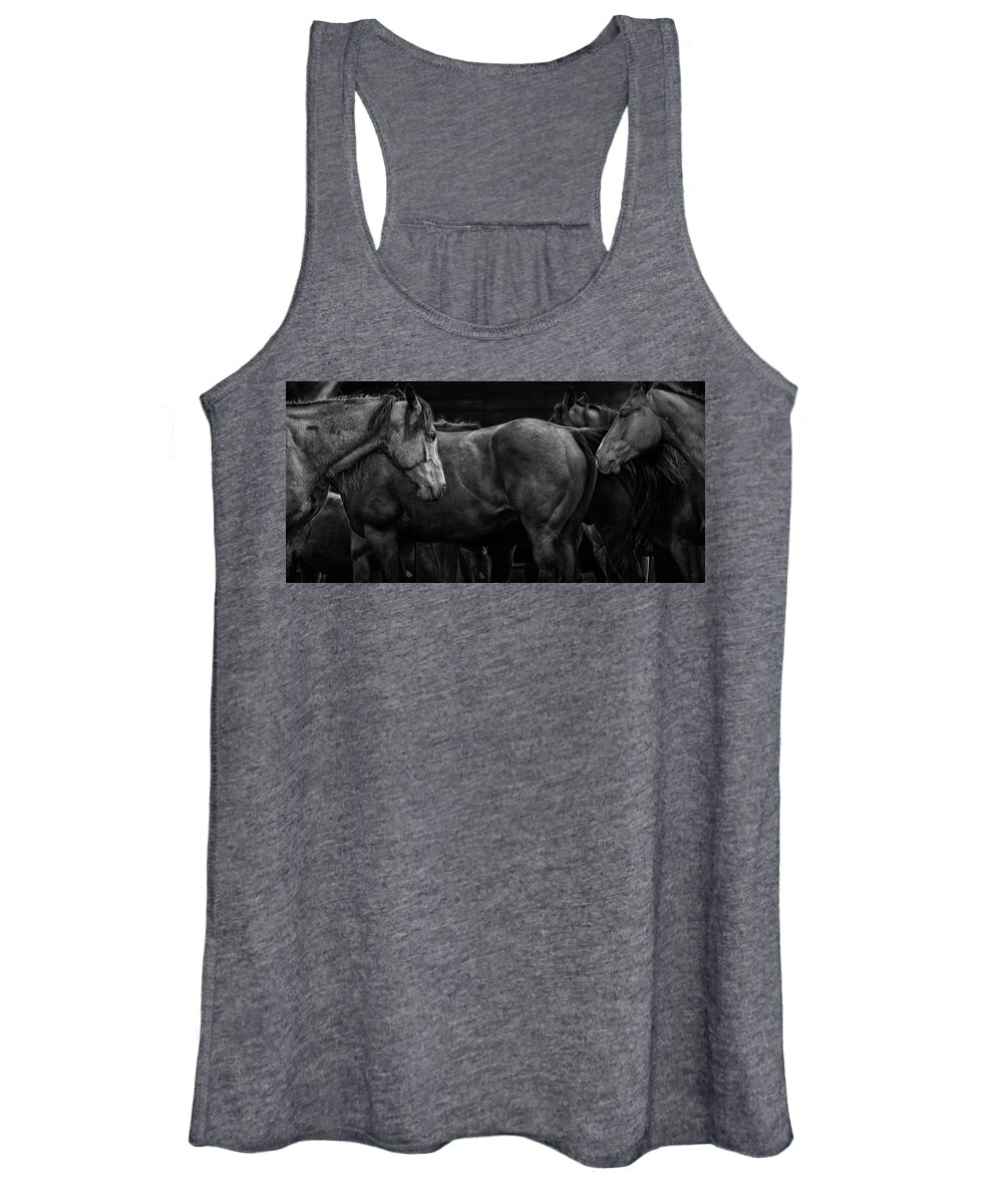 Horse Women's Tank Top featuring the photograph We Meet Again by Ryan Courson