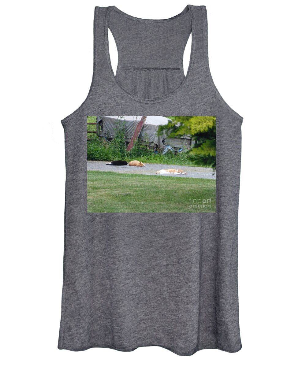 Cats Women's Tank Top featuring the photograph What a Day by Donald C Morgan