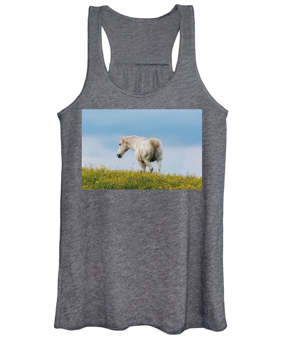 Horse Women's Tank Top featuring the photograph White Horse of Cataloochee Ranch - May 30 2017 by D K Wall