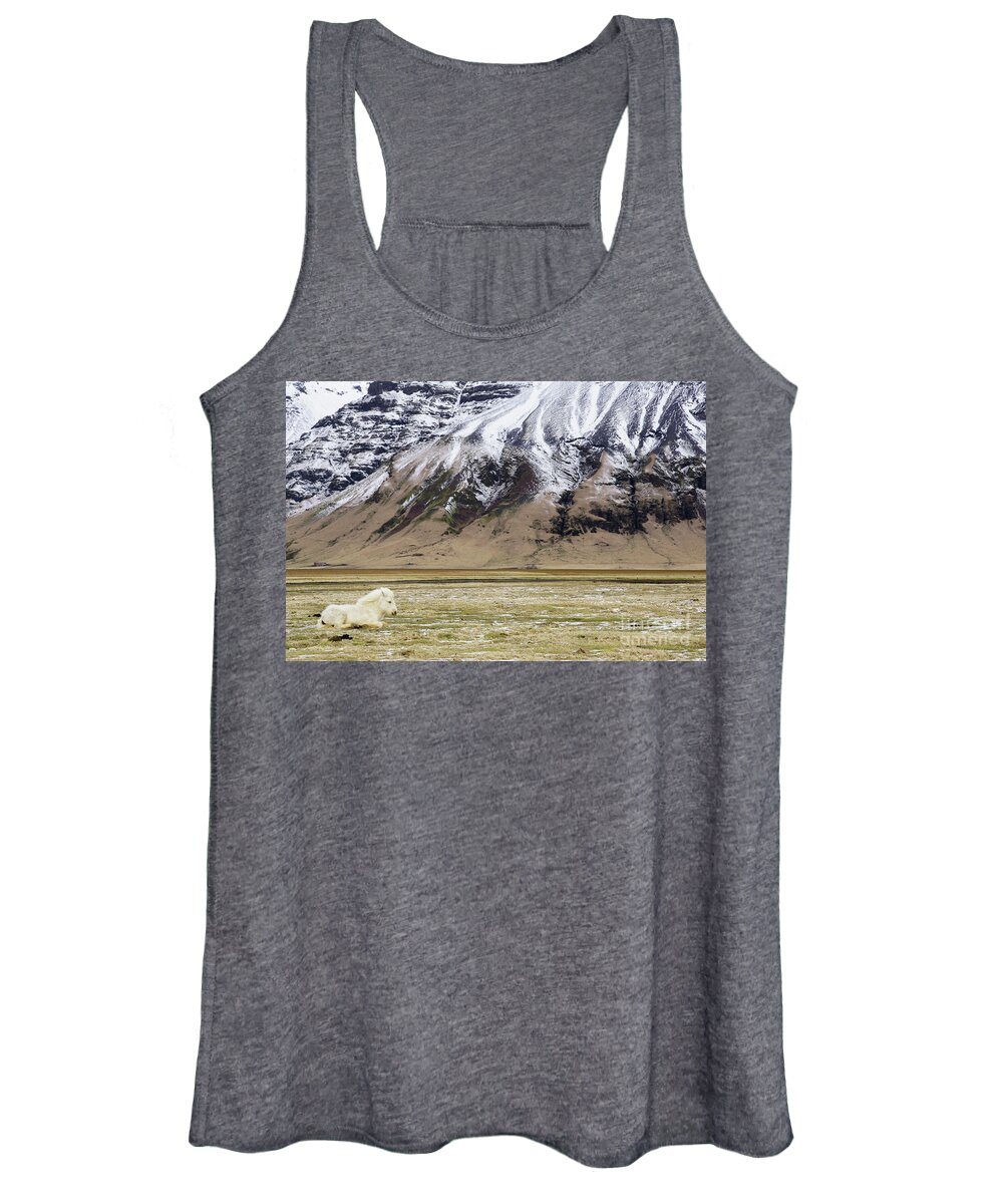 Iceland Women's Tank Top featuring the photograph White Icelandic Horse by Brian Kamprath