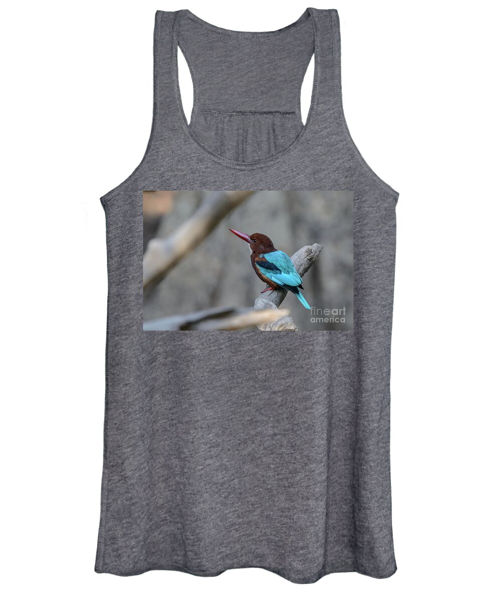 Bird Women's Tank Top featuring the photograph White-throated Kingfisher 02 by Werner Padarin