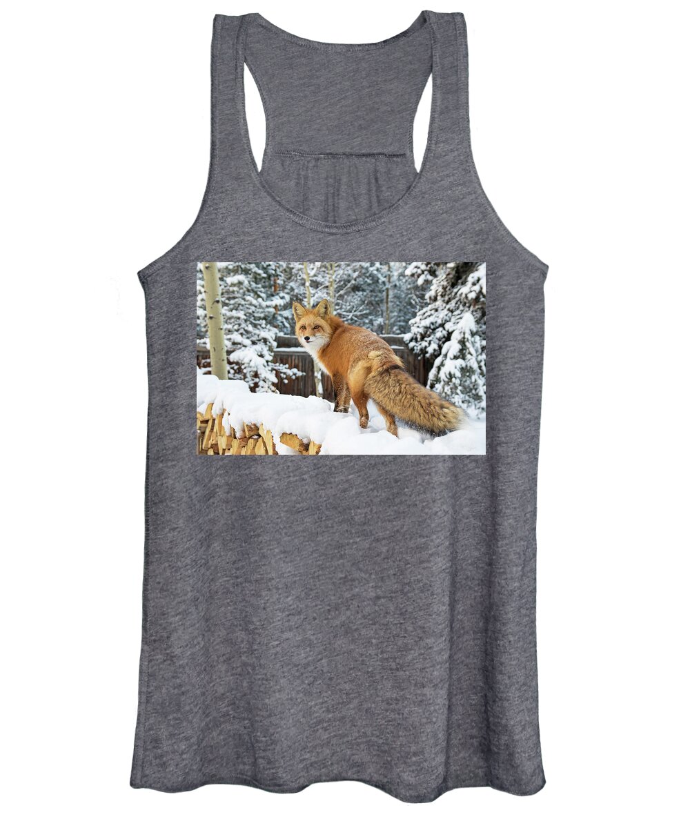 Winter Women's Tank Top featuring the photograph Winter Fox on Woodpile by Mindy Musick King