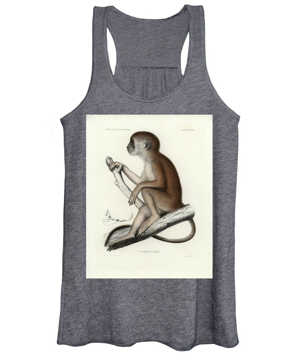 Yellow Baboon Women's Tank Top featuring the drawing Yellow Baboon, Papio cynocephalus by J D L Franz Wagner