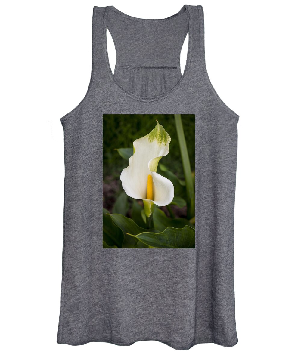 Flowers Women's Tank Top featuring the photograph Young Calla Lily by Venetia Featherstone-Witty