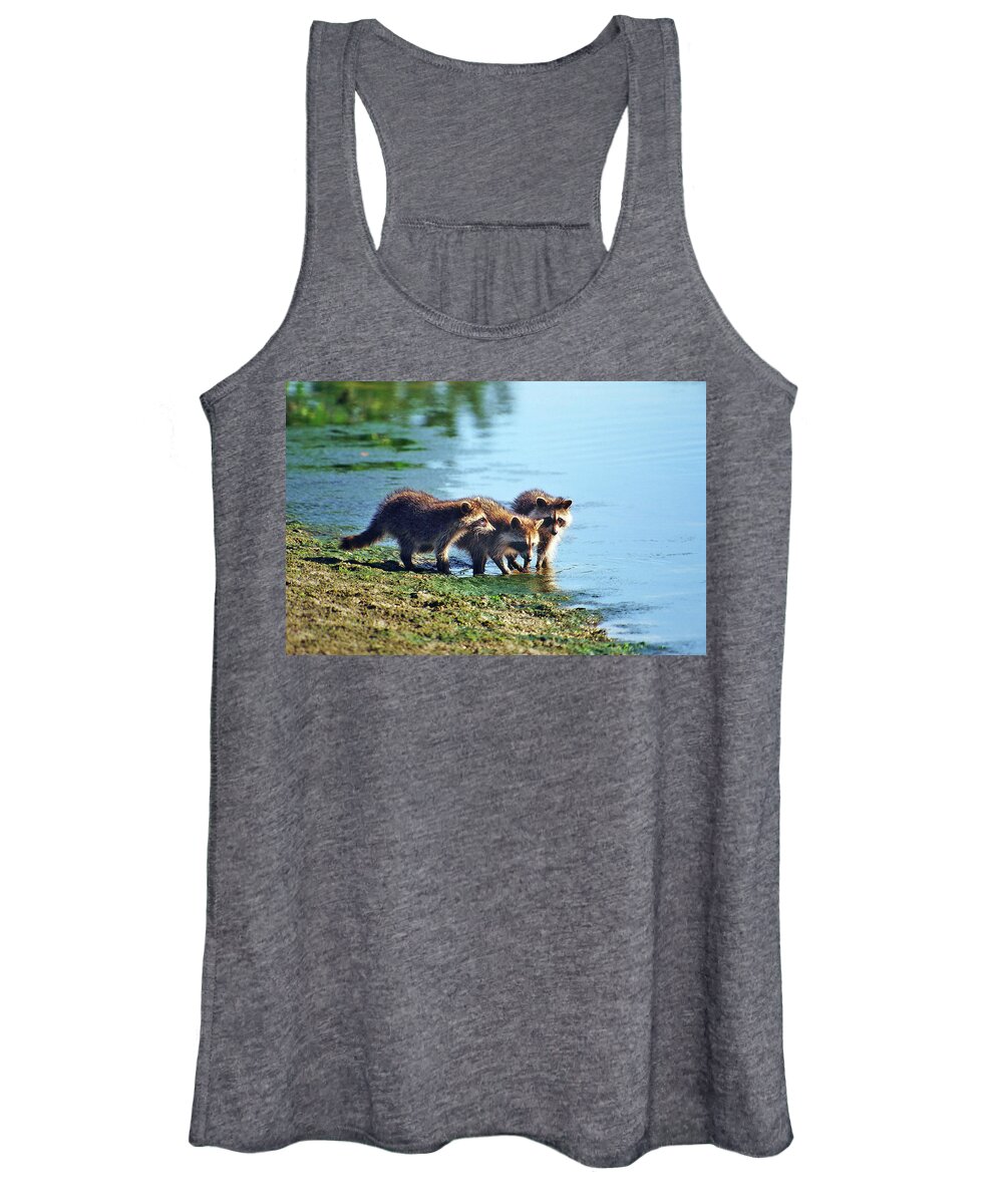 Raccoon Women's Tank Top featuring the photograph Young Raccoons by Ted Keller