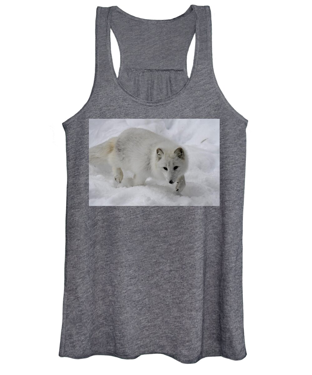 Wall Art Women's Tank Top featuring the photograph Artic Fox #1 by Jeffrey PERKINS