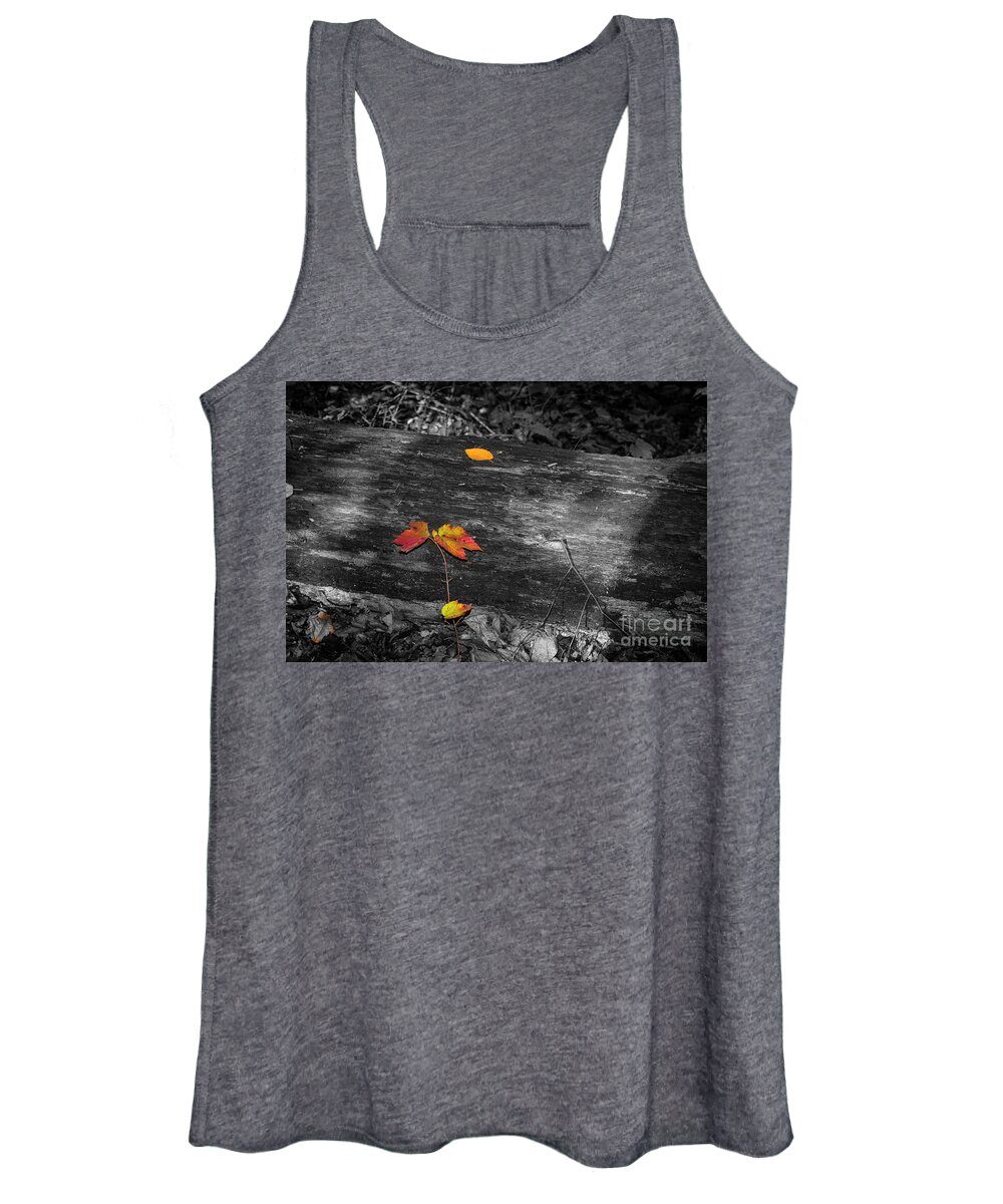 Tree Women's Tank Top featuring the photograph Autumn Leaves #2 by Judy Wolinsky