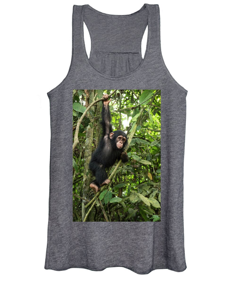 Gerry Ellis Women's Tank Top featuring the photograph Little Larry Climbing In Forest #1 by Gerry Ellis
