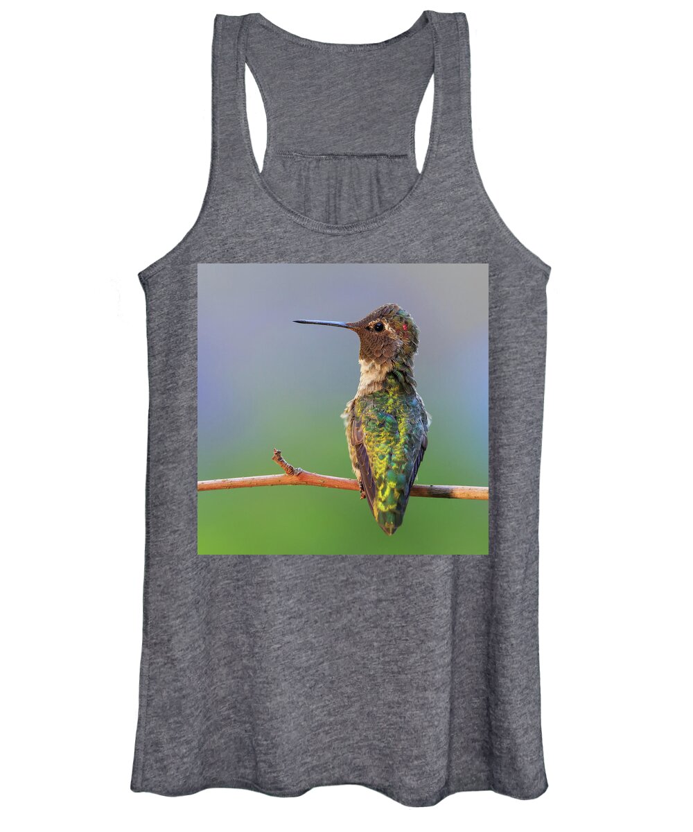 Animal Women's Tank Top featuring the photograph Midsummer Night's Dream V - Male Anna's Hummingbird #1 by Briand Sanderson