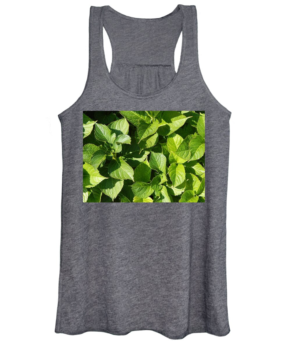 Landscape Women's Tank Top featuring the photograph Green background and the landscape in the park #3 by Oleg Prokopenko