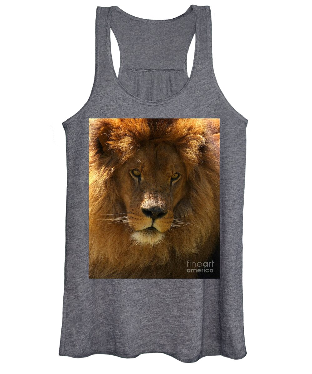 African Lion Women's Tank Top featuring the photograph African Lion by Phil Banks