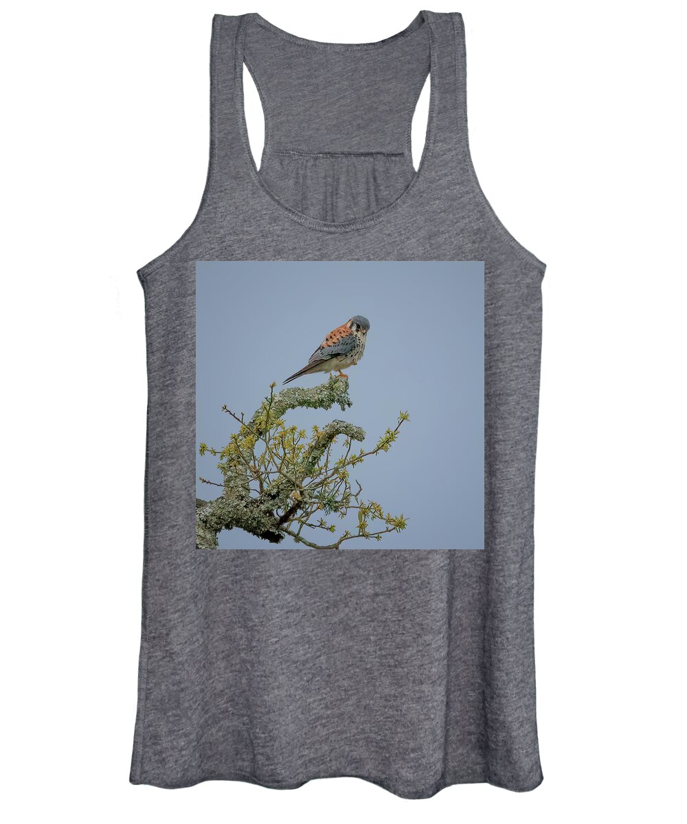 Falcon Women's Tank Top featuring the photograph American Kestrel by JASawyer Imaging