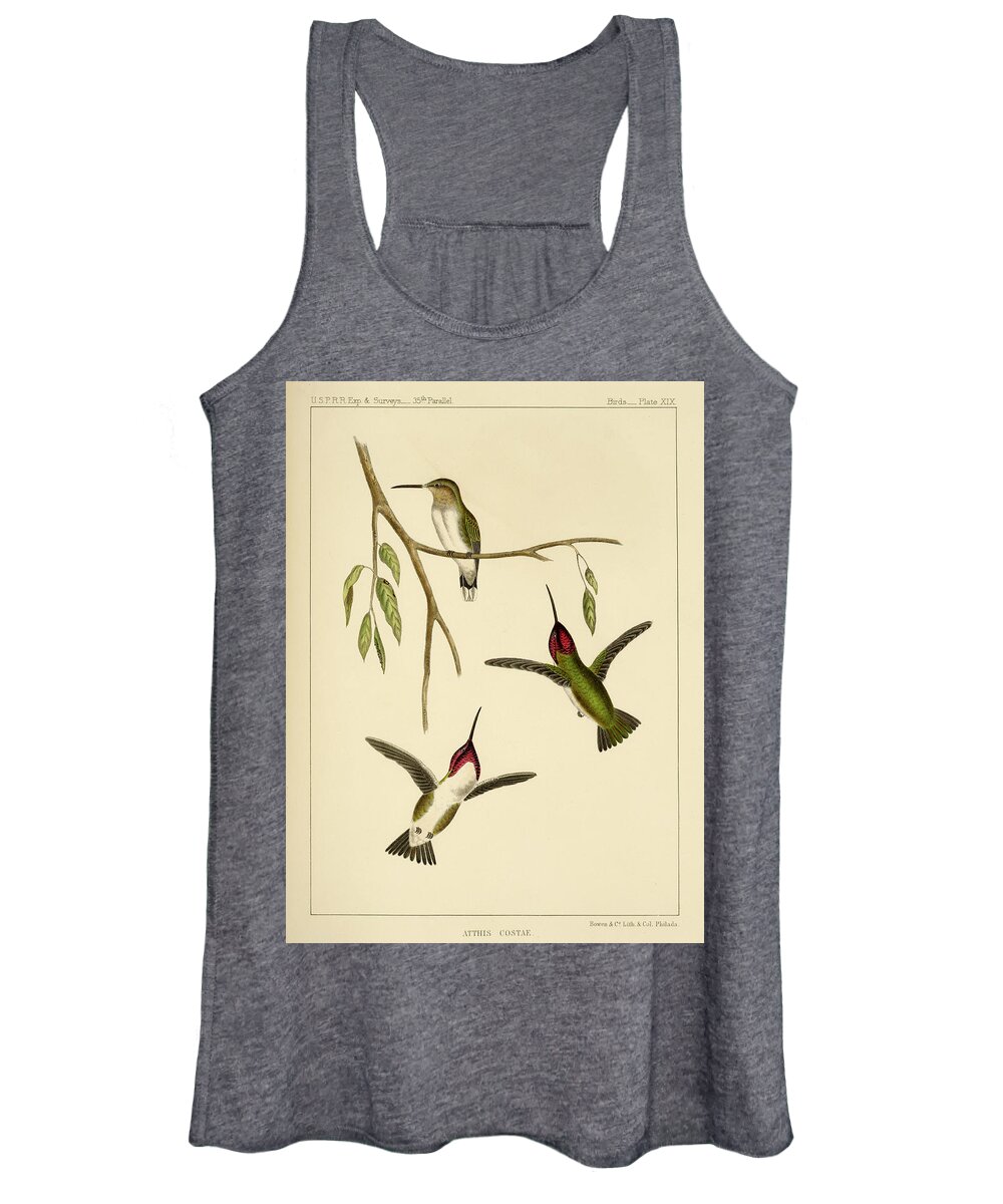 Birds Women's Tank Top featuring the mixed media Atthis Costae by Bowen and Co lith and col Phila