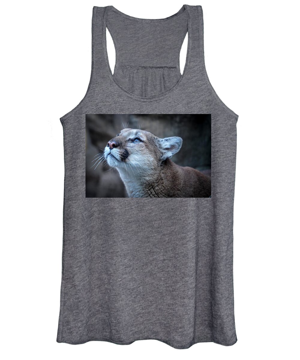 Africa Women's Tank Top featuring the photograph Beautiful Puma by Susan Rydberg