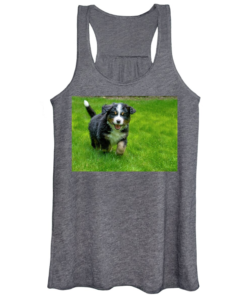 Dog Women's Tank Top featuring the photograph Bernese Mountain Dog Puppy Running 2 by Pelo Blanco Photo