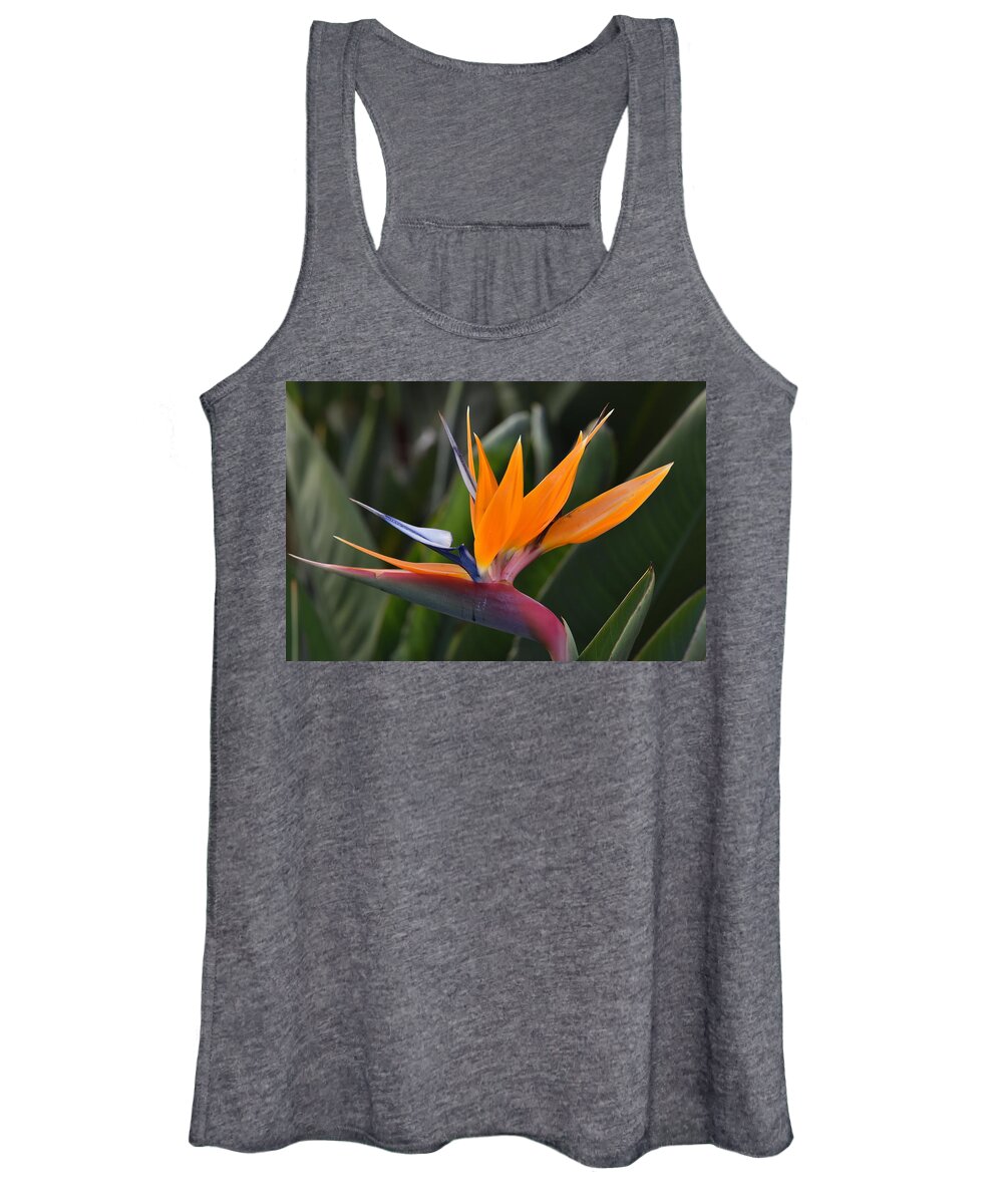  Women's Tank Top featuring the photograph Bird of Paradise by Ben Foster