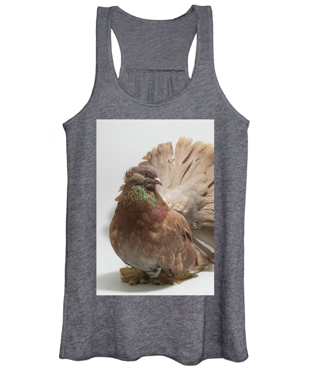 Pigeon Women's Tank Top featuring the photograph Brown Indian Fantail Pigeon by Nathan Abbott