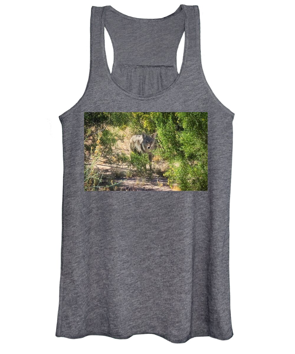 Animals Women's Tank Top featuring the photograph Cautious Coyote by Judy Kennedy