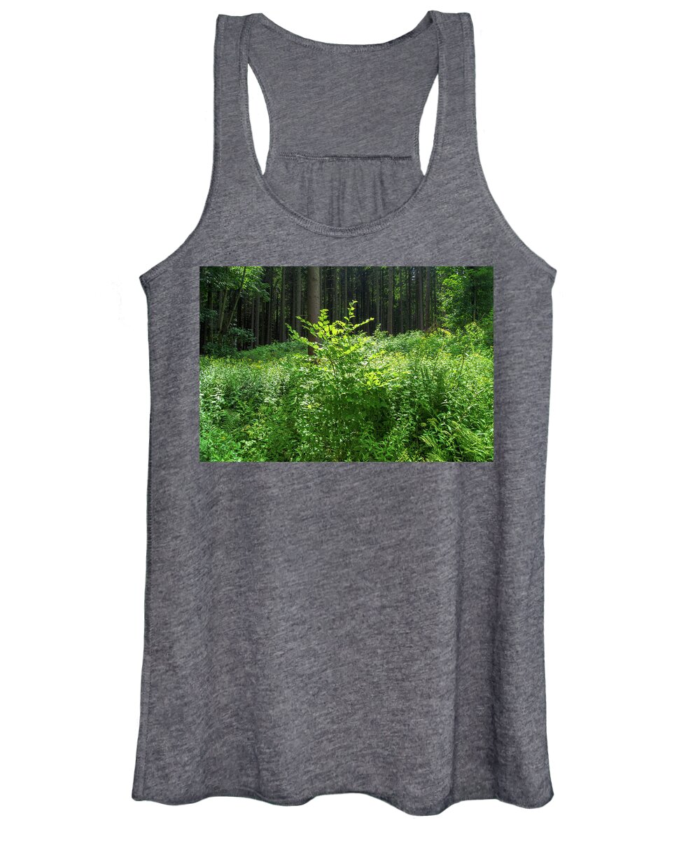 Forest Women's Tank Top featuring the photograph Colors of a forest in Vogelsberg by Sun Travels