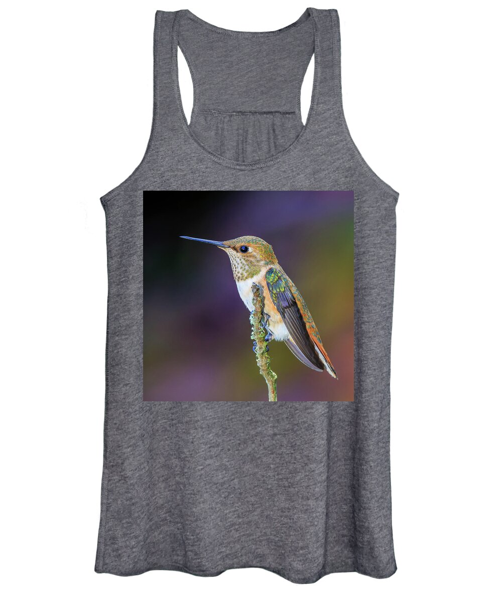 Animal Women's Tank Top featuring the photograph Contemplation II - Rufous Hummingbird by Briand Sanderson