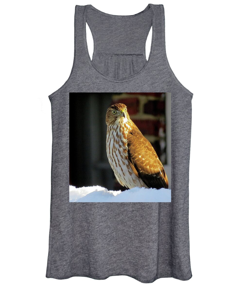 Cooper's Hawk Women's Tank Top featuring the photograph Cooper's Hawk in the Snow by Linda Stern