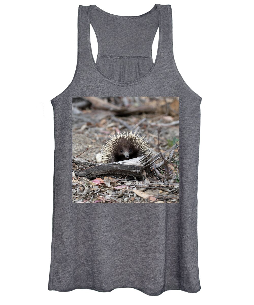 Echidna Women's Tank Top featuring the photograph Echidna by Patrick Nowotny