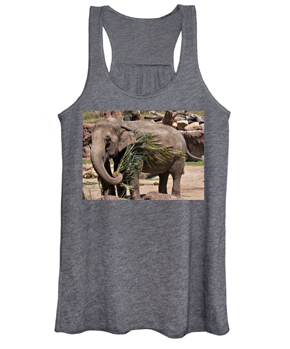 Elephant Women's Tank Top featuring the photograph Elephant Play by Margaret Zabor