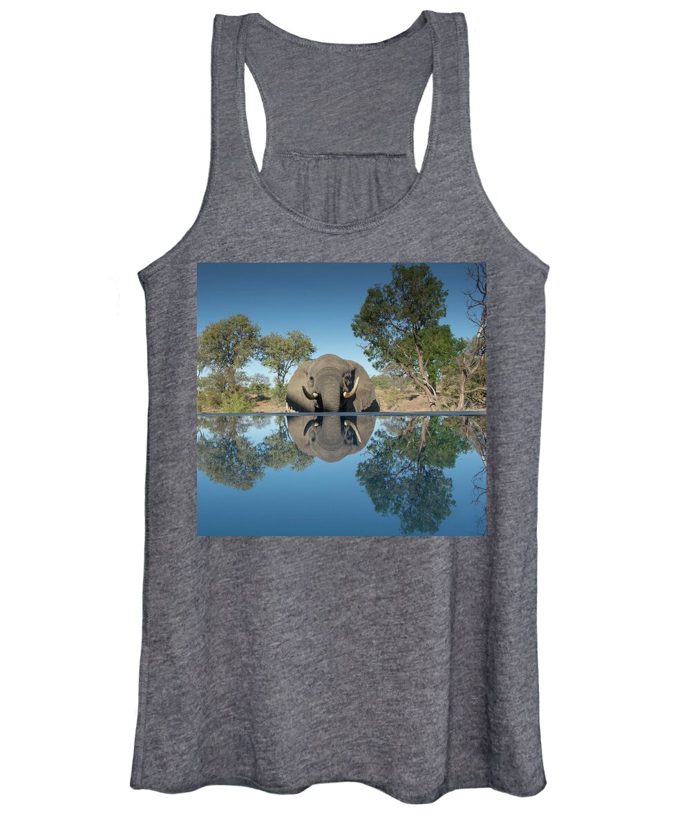 Africa Women's Tank Top featuring the photograph African Elephant Reflection by Mark Hunter