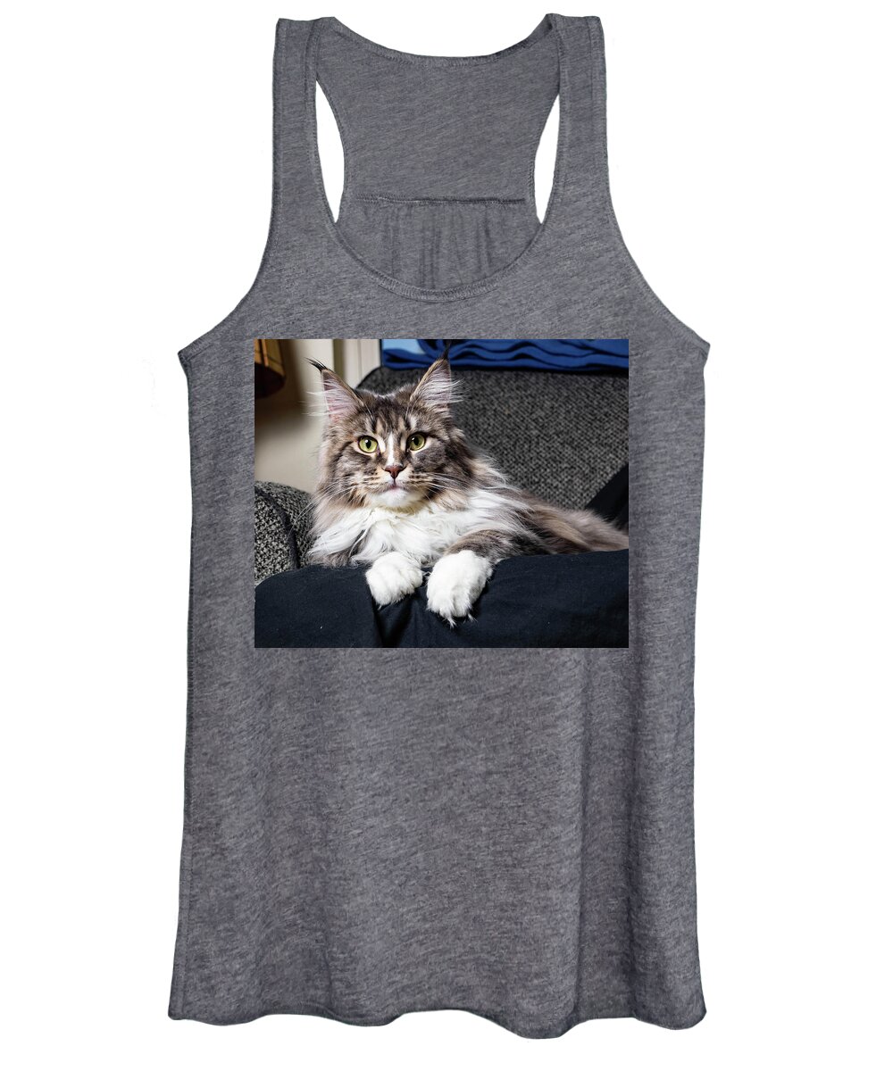 Cat Women's Tank Top featuring the photograph Feline Beauty by Martin Gollery