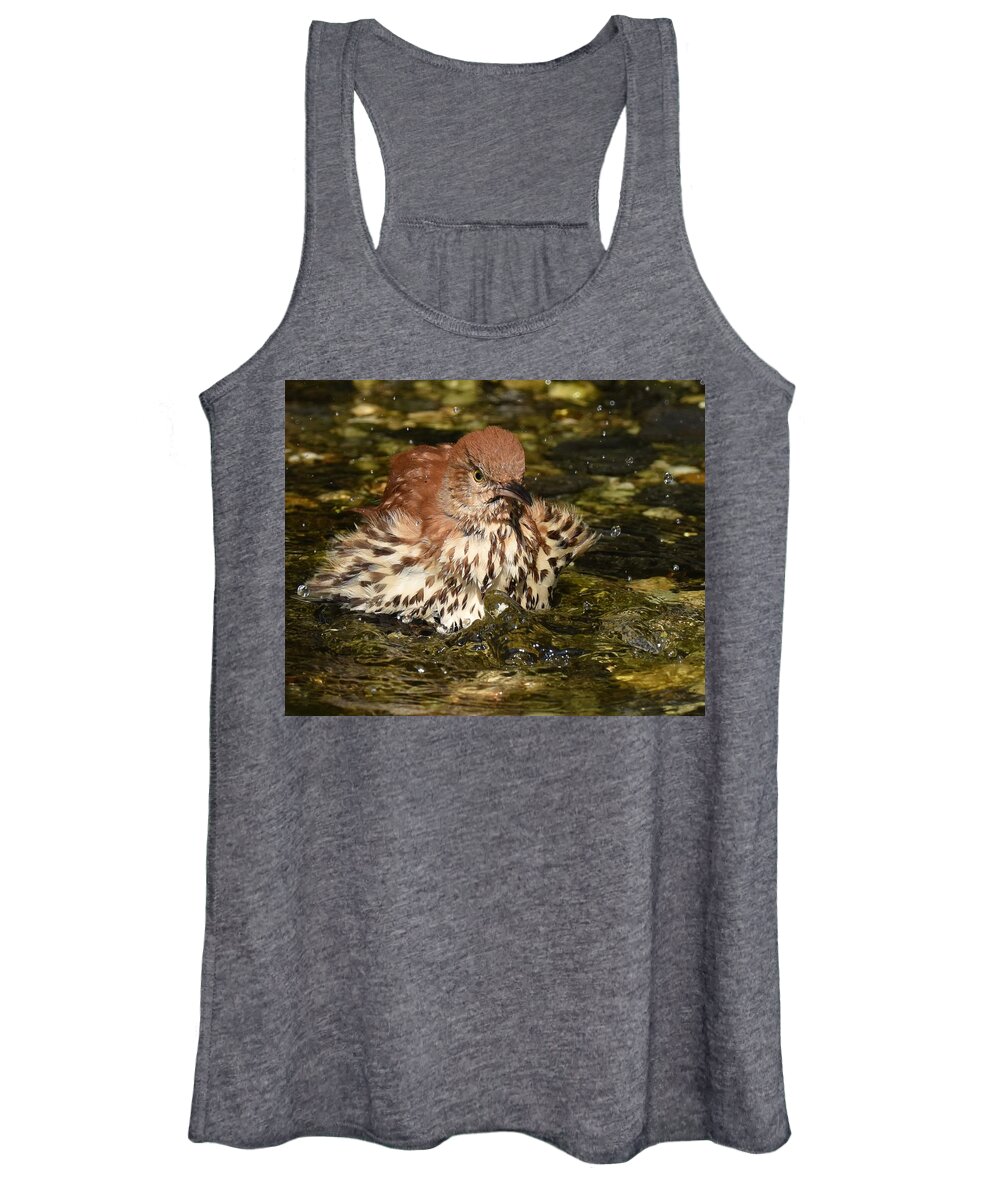 Brown Thrasher Women's Tank Top featuring the photograph Fluffy Bath by Chip Gilbert