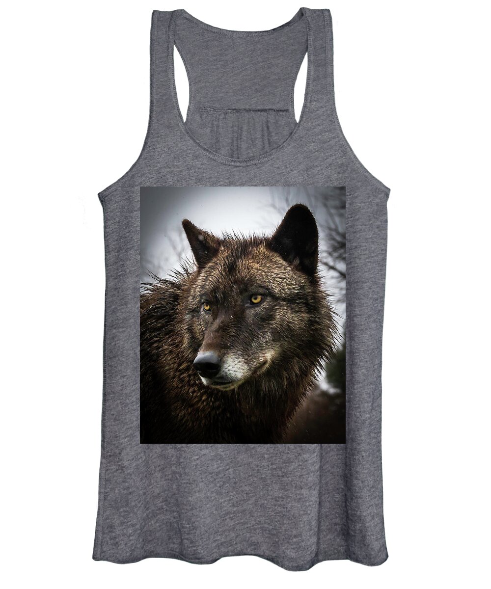 Wolf Wolves Black Women's Tank Top featuring the photograph Handsome Boy by Laura Hedien