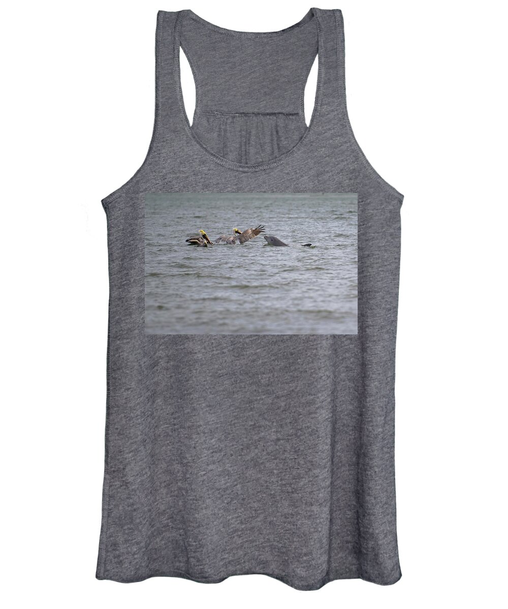 Wildlife Photography Women's Tank Top featuring the photograph Hello Friends Pelicans and Dolphin by T Lynn Dodsworth