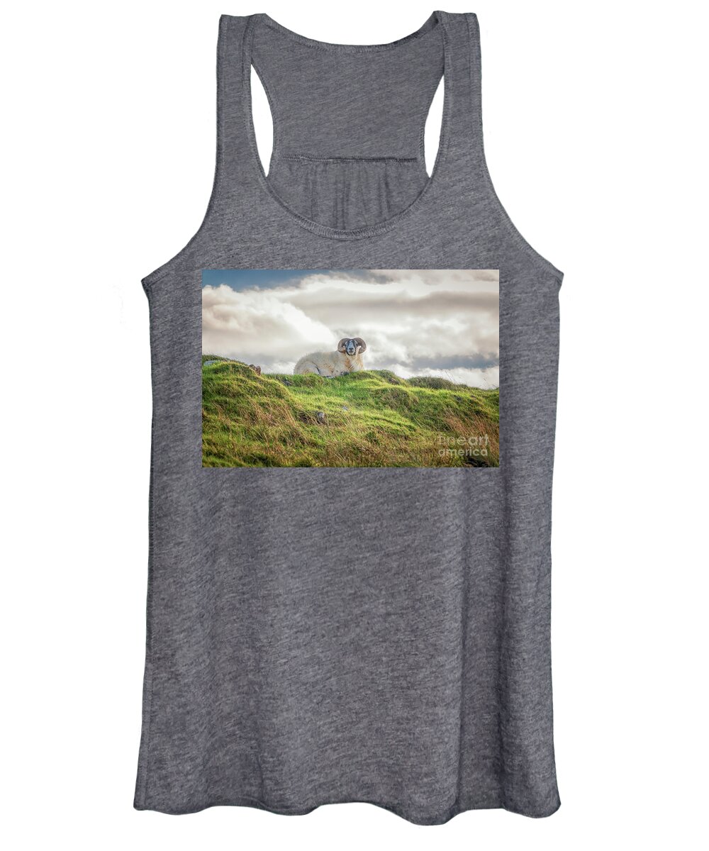 High On The Hill Women's Tank Top featuring the photograph High on the Hill by Elizabeth Dow