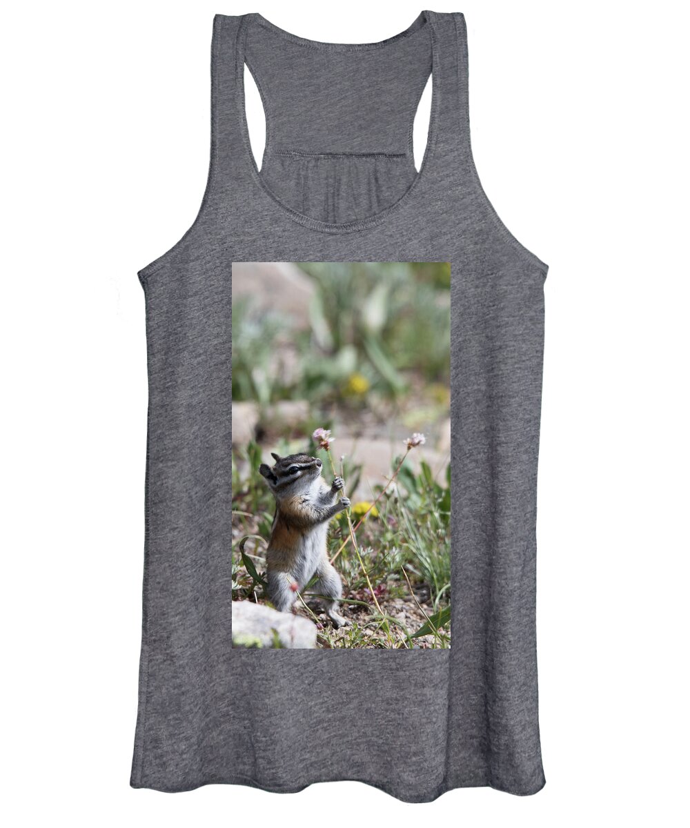 Chipmunk Women's Tank Top featuring the photograph Hold On by Patrick Nowotny